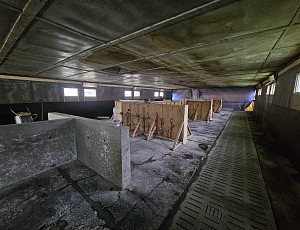 Rekonstrukce haly chovu prasat